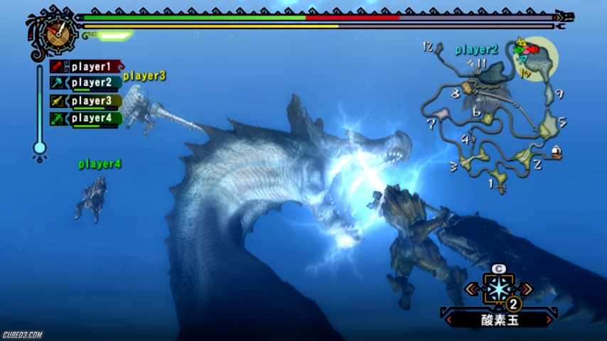 Screenshot for Monster Hunter Tri on Wii